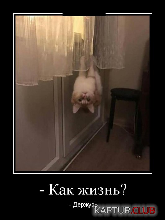 demotivatory_27.jpg | Рено Каптур Клуб Россия | Форум KAPTUR.SU