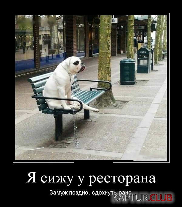 demotivatory_27.jpg | Рено Каптур Клуб Россия | Форум KAPTUR.SU