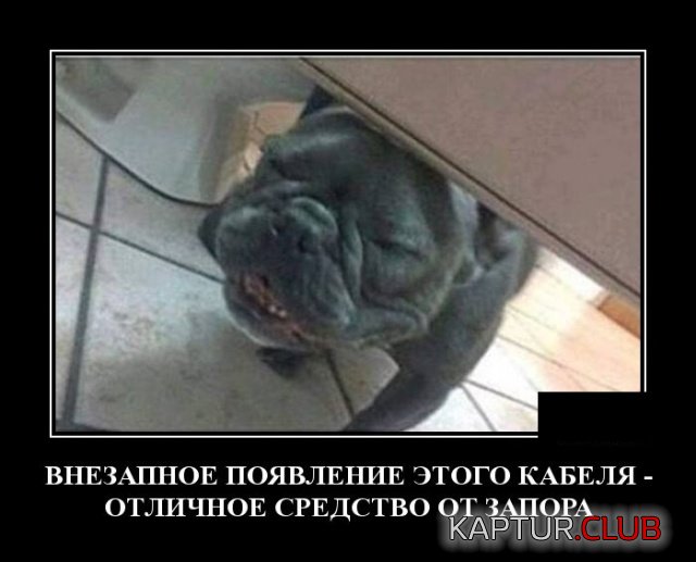demotivatory_27.jpg | Рено Каптур Клуб Россия | Форум KAPTUR.SU