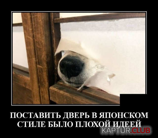 demotivatory_27.jpg | Рено Каптур Клуб Россия | Форум KAPTUR.SU
