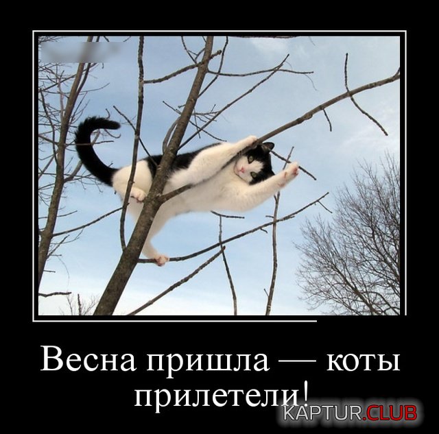 demotivatory_27.jpg | Рено Каптур Клуб Россия | Форум KAPTUR.SU