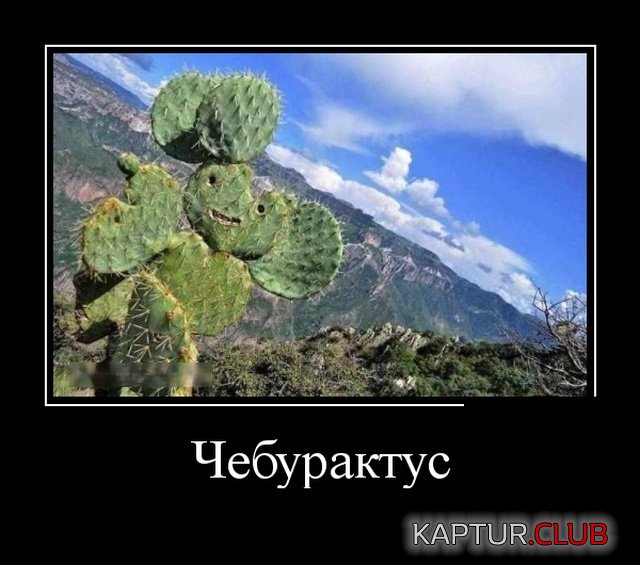 demotivatory_27.jpg | Рено Каптур Клуб Россия | Форум KAPTUR.SU