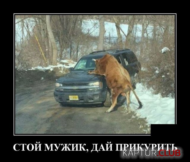 demotivatory_27.jpg | Рено Каптур Клуб Россия | Форум KAPTUR.SU
