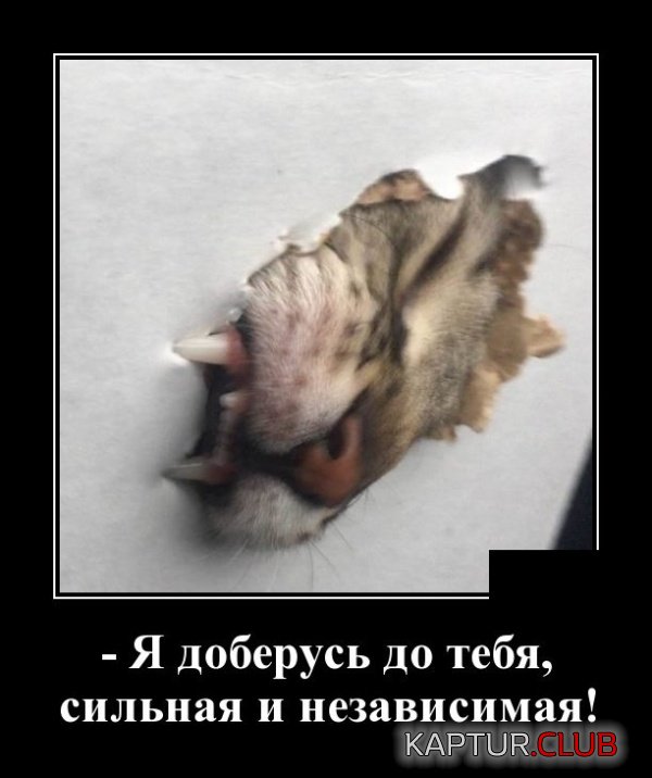 demotivatory_27.jpg | Рено Каптур Клуб Россия | Форум KAPTUR.SU