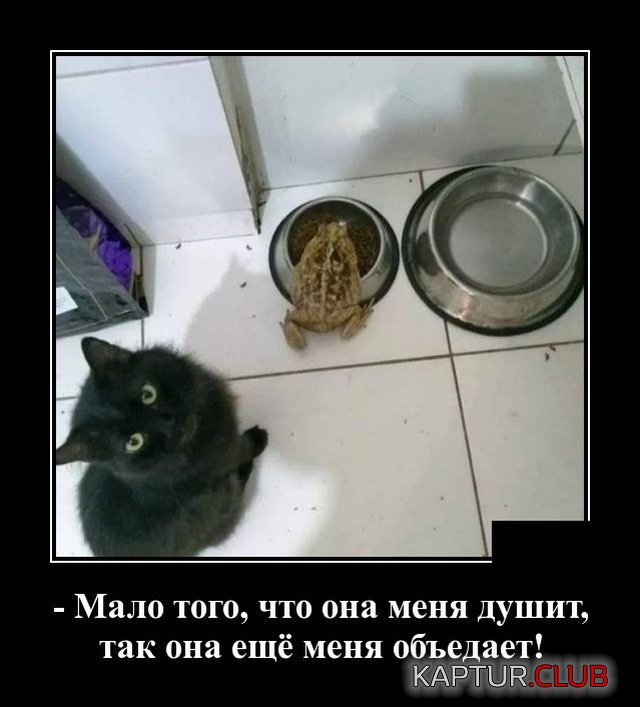 demotivatory_27.jpg | Рено Каптур Клуб Россия | Форум KAPTUR.SU