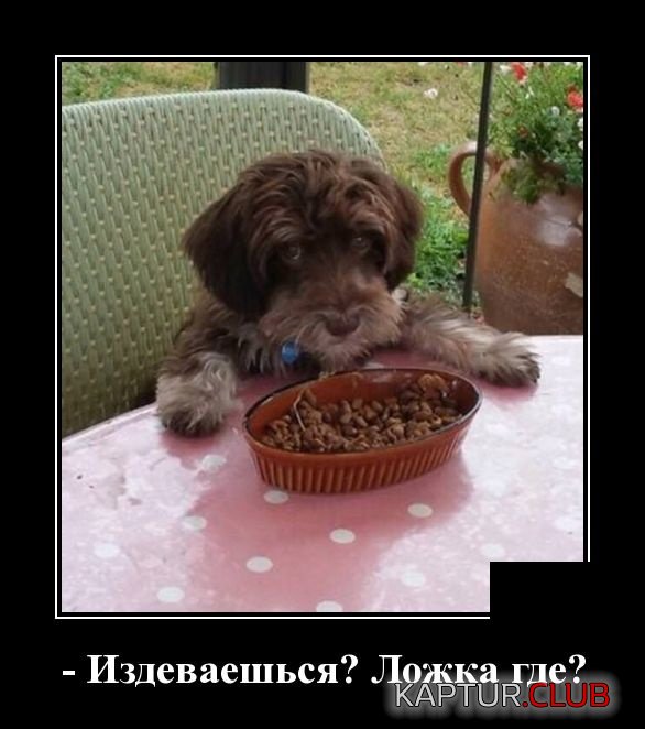 demotivatory_27.jpg | Рено Каптур Клуб Россия | Форум KAPTUR.SU