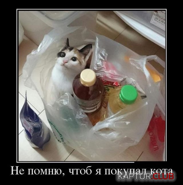 demotivatory_28.jpg | Рено Каптур Клуб Россия | Форум KAPTUR.SU