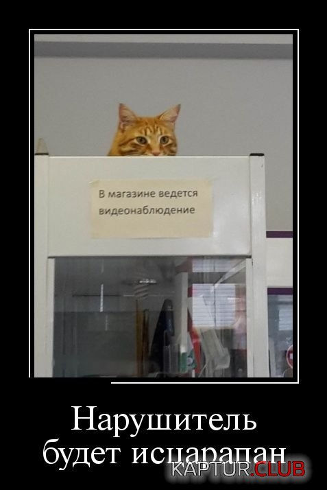 demotivatory_28.jpg | Рено Каптур Клуб Россия | Форум KAPTUR.SU