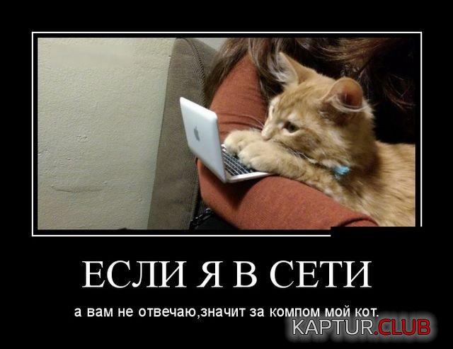 demotivatory_28.jpg | Рено Каптур Клуб Россия | Форум KAPTUR.SU