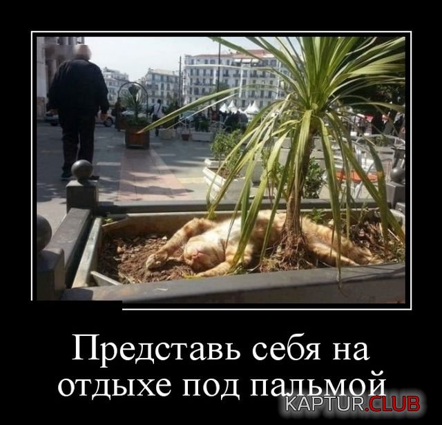 demotivatory_28.jpg | Рено Каптур Клуб Россия | Форум KAPTUR.SU