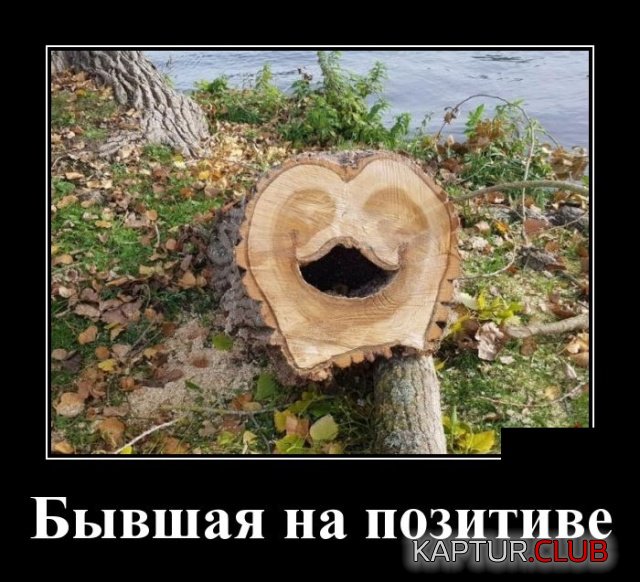 demotivatory_28.jpg | Рено Каптур Клуб Россия | Форум KAPTUR.SU