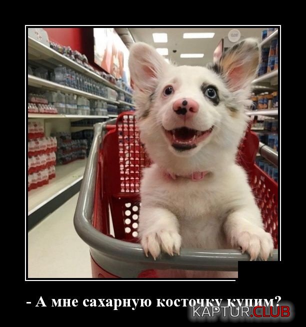 demotivatory_28.jpg | Рено Каптур Клуб Россия | Форум KAPTUR.SU