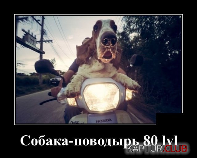 demotivatory_28.jpg | Рено Каптур Клуб Россия | Форум KAPTUR.SU