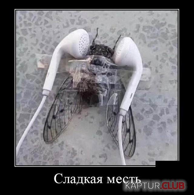 demotivatory_28.jpg | Рено Каптур Клуб Россия | Форум KAPTUR.SU