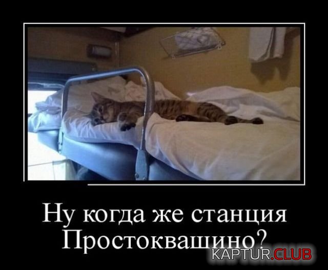 demotivatory_29.jpg | Рено Каптур Клуб Россия | Форум KAPTUR.SU