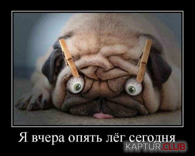 demotivatory_29.jpg | Рено Каптур Клуб Россия | Форум KAPTUR.SU