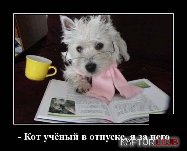 demotivatory_29.jpg | Рено Каптур Клуб Россия | Форум KAPTUR.SU
