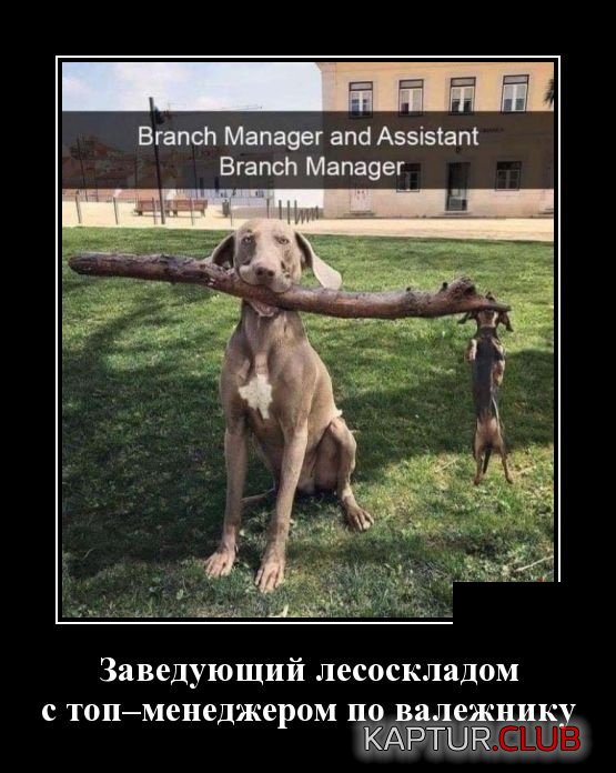demotivatory_29.jpg | Рено Каптур Клуб Россия | Форум KAPTUR.SU