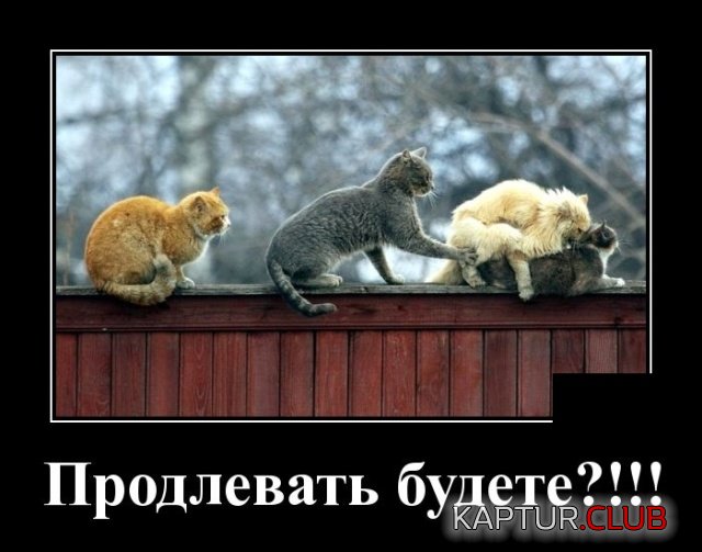 demotivatory_29.jpg | Рено Каптур Клуб Россия | Форум KAPTUR.SU