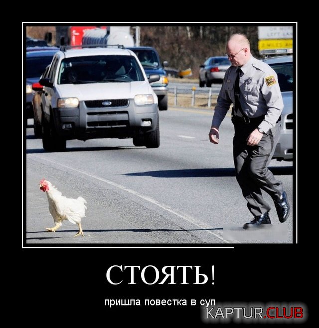 demotivatory_29.jpg | Рено Каптур Клуб Россия | Форум KAPTUR.SU
