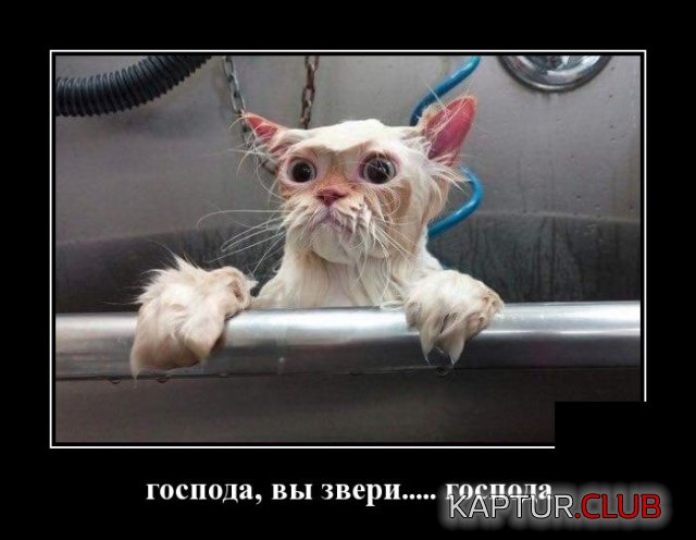 demotivatory_29.jpg | Рено Каптур Клуб Россия | Форум KAPTUR.SU