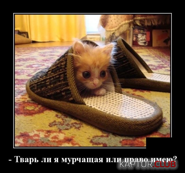 demotivatory_29.jpg | Рено Каптур Клуб Россия | Форум KAPTUR.SU