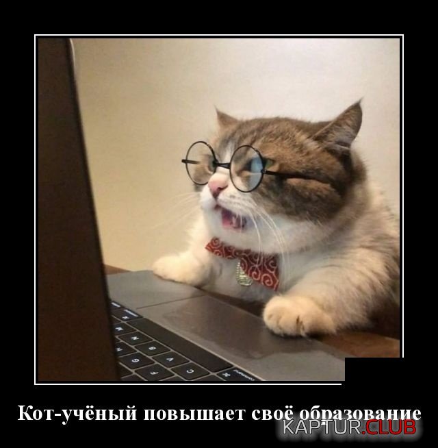 demotivatory_29.jpg | Рено Каптур Клуб Россия | Форум KAPTUR.SU