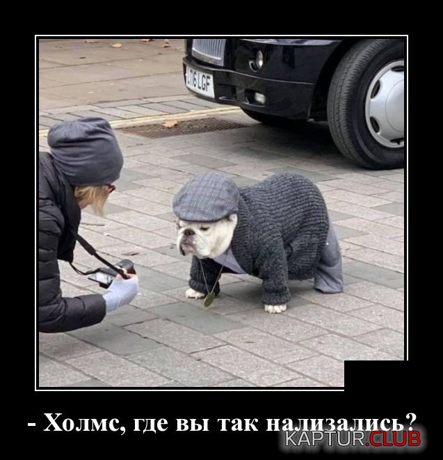 demotivatory_29.jpg | Рено Каптур Клуб Россия | Форум KAPTUR.SU