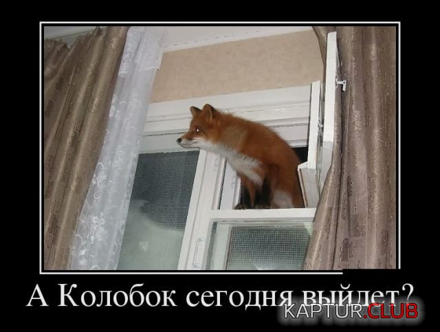 demotivatory_30.jpg | Рено Каптур Клуб Россия | Форум KAPTUR.SU