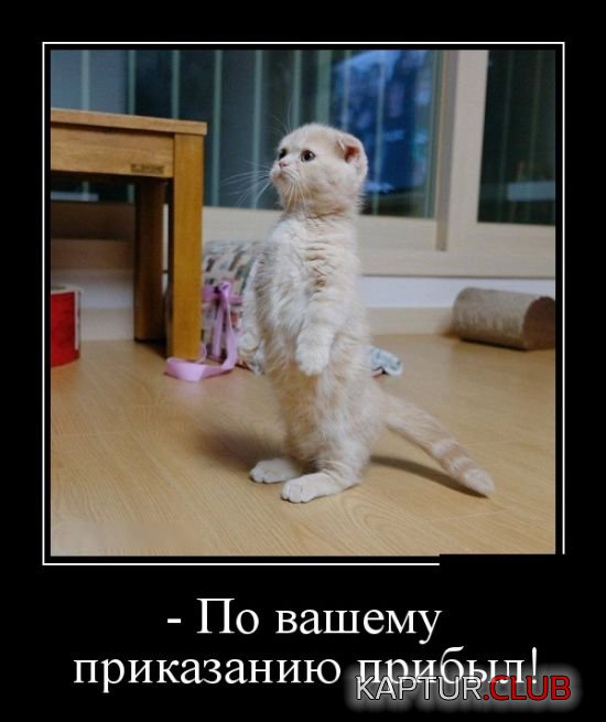 demotivatory_30.jpg | Рено Каптур Клуб Россия | Форум KAPTUR.SU
