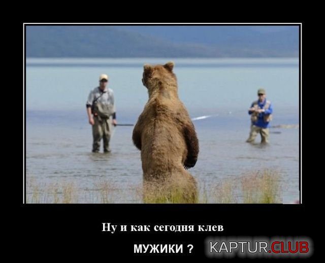 demotivatory_30.jpg | Рено Каптур Клуб Россия | Форум KAPTUR.SU