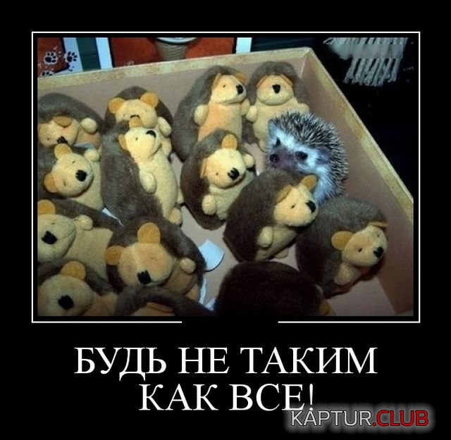 demotivatory_30.jpg | Рено Каптур Клуб Россия | Форум KAPTUR.SU
