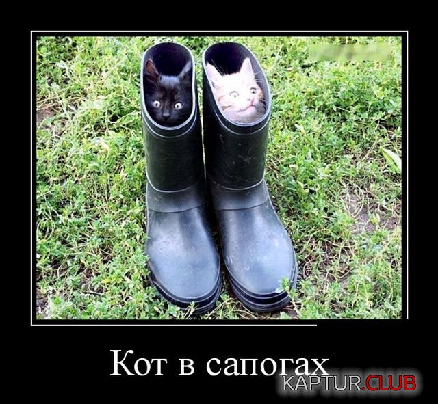 demotivatory_30.jpg | Рено Каптур Клуб Россия | Форум KAPTUR.SU