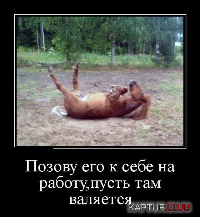 demotivatory_30.jpg | Рено Каптур Клуб Россия | Форум KAPTUR.SU