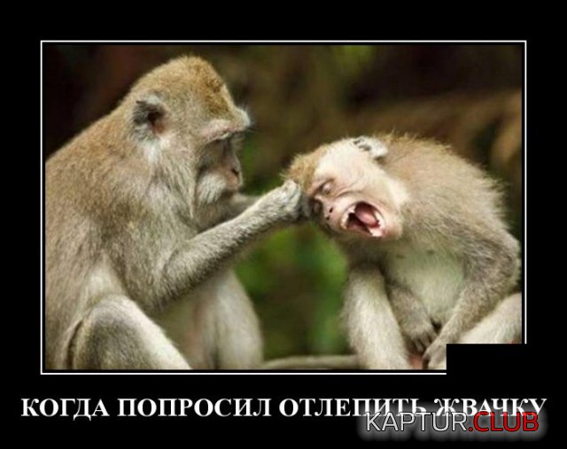 demotivatory_30.jpg | Рено Каптур Клуб Россия | Форум KAPTUR.SU
