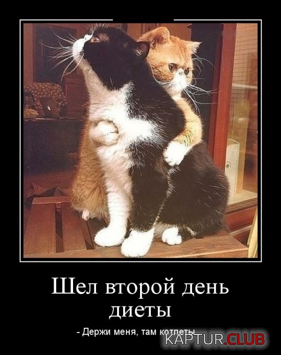 demotivatory_30.jpg | Рено Каптур Клуб Россия | Форум KAPTUR.SU