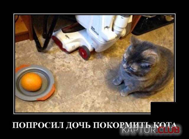 demotivatory_30.jpg | Рено Каптур Клуб Россия | Форум KAPTUR.SU