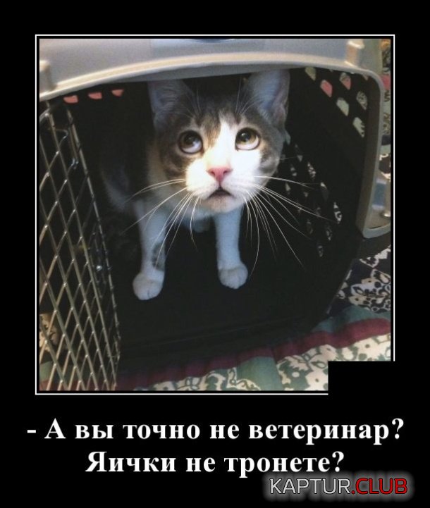 demotivatory_30.jpg | Рено Каптур Клуб Россия | Форум KAPTUR.SU