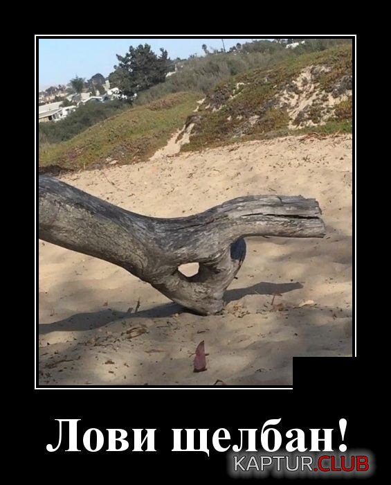 demotivatory_30.jpg | Рено Каптур Клуб Россия | Форум KAPTUR.SU