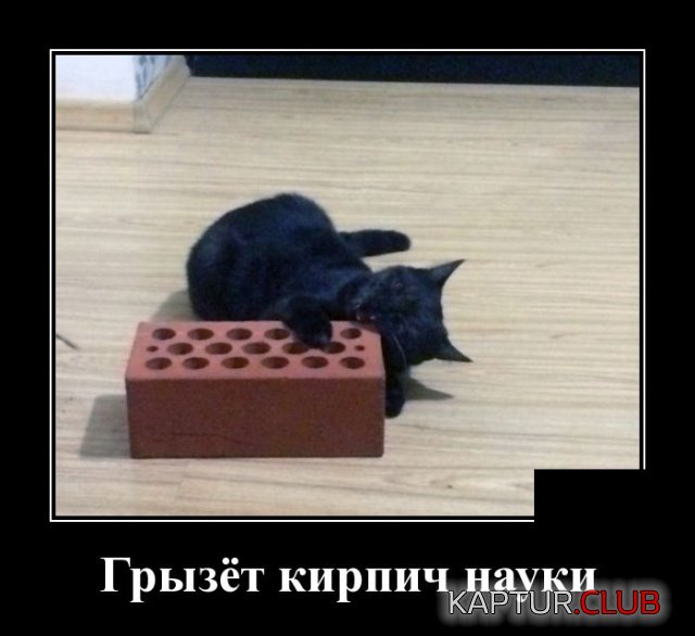 demotivatoy_16.jpg | Рено Каптур Клуб Россия | Форум KAPTUR.SU