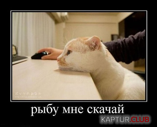 demotivatroy_02.jpg | Рено Каптур Клуб Россия | Форум KAPTUR.SU