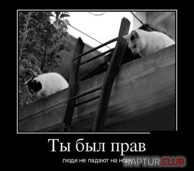 demotivatroy_18.jpg | Рено Каптур Клуб Россия | Форум KAPTUR.SU