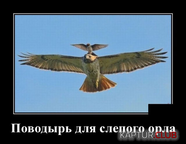 demotivtory_07.jpg | Рено Каптур Клуб Россия | Форум KAPTUR.SU