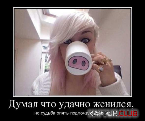df390753035d616fe5877650e73_prev.jpg | Рено Каптур Клуб Россия | Форум KAPTUR.SU