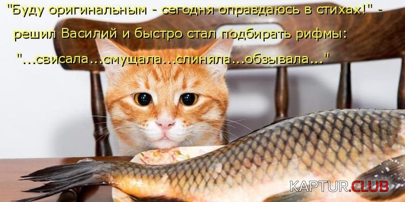 df39edad35edfbd6d045b632e81.jpg | Рено Каптур Клуб Россия | Форум KAPTUR.SU