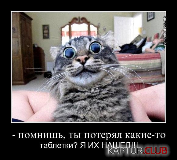 df6c89f19b0f2c05b1f910ae54f.jpg | Рено Каптур Клуб Россия | Форум KAPTUR.SU
