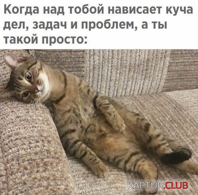 dog_or_statue_02.jpg | Рено Каптур Клуб Россия | Форум KAPTUR.SU