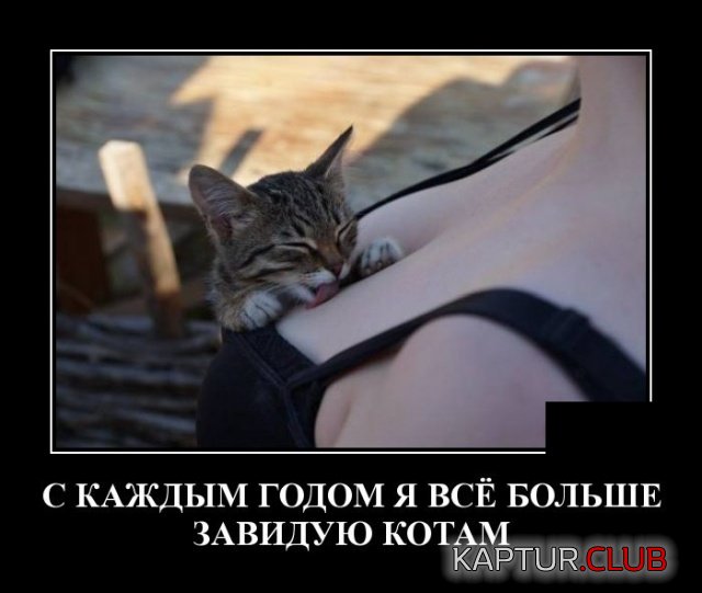 DSC_0020.JPG | Рено Каптур Клуб Россия | Форум KAPTUR.SU