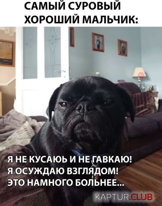 DSC_0021.JPG | Рено Каптур Клуб Россия | Форум KAPTUR.SU