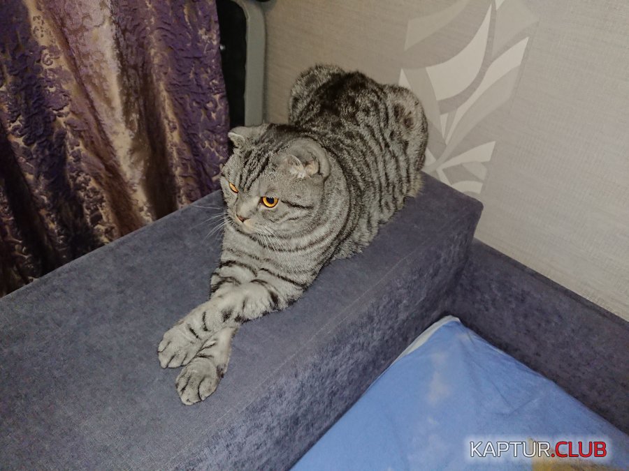 DSC_0552.JPG | Рено Каптур Клуб Россия | Форум KAPTUR.SU